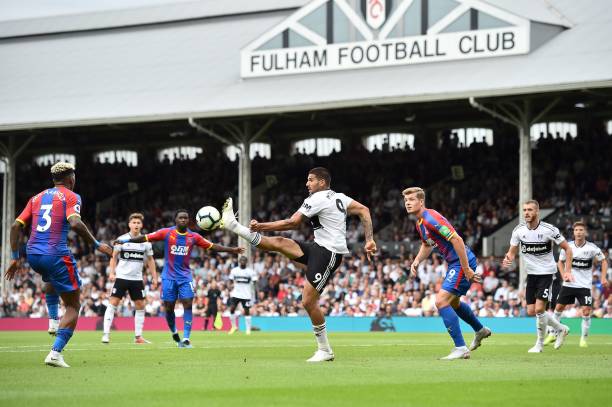 的舞台上 的舞台上