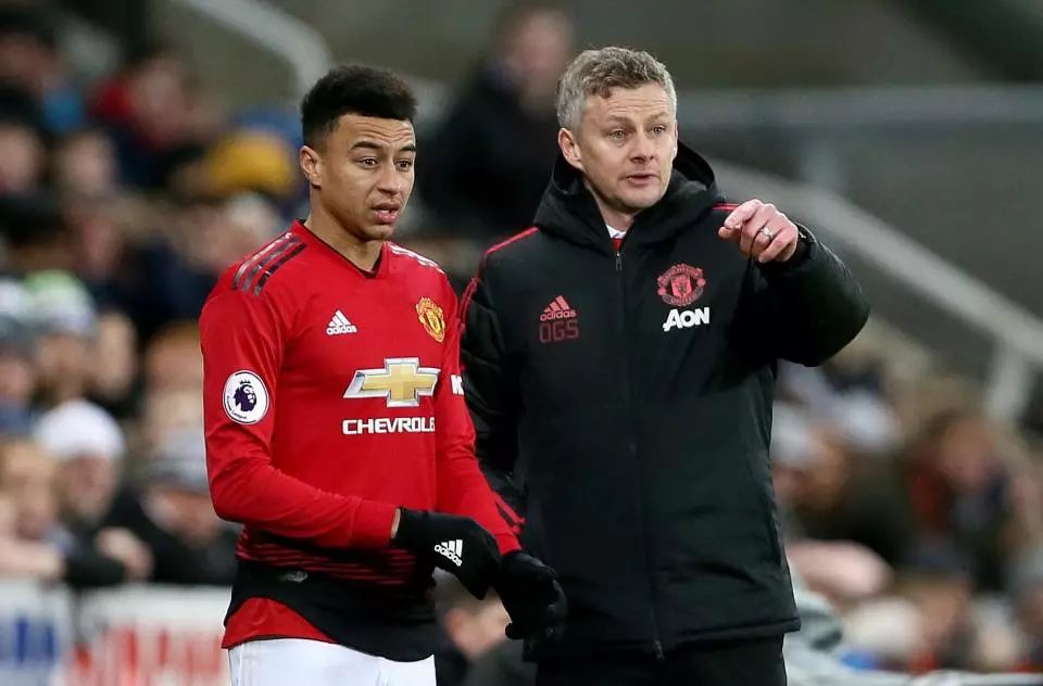 表现出的高 表现出的高